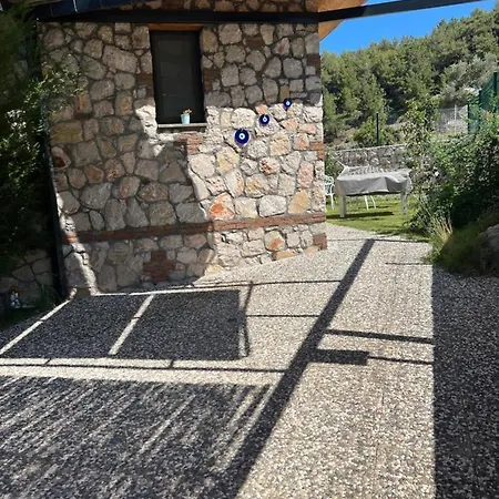 Parpali Kozagaci